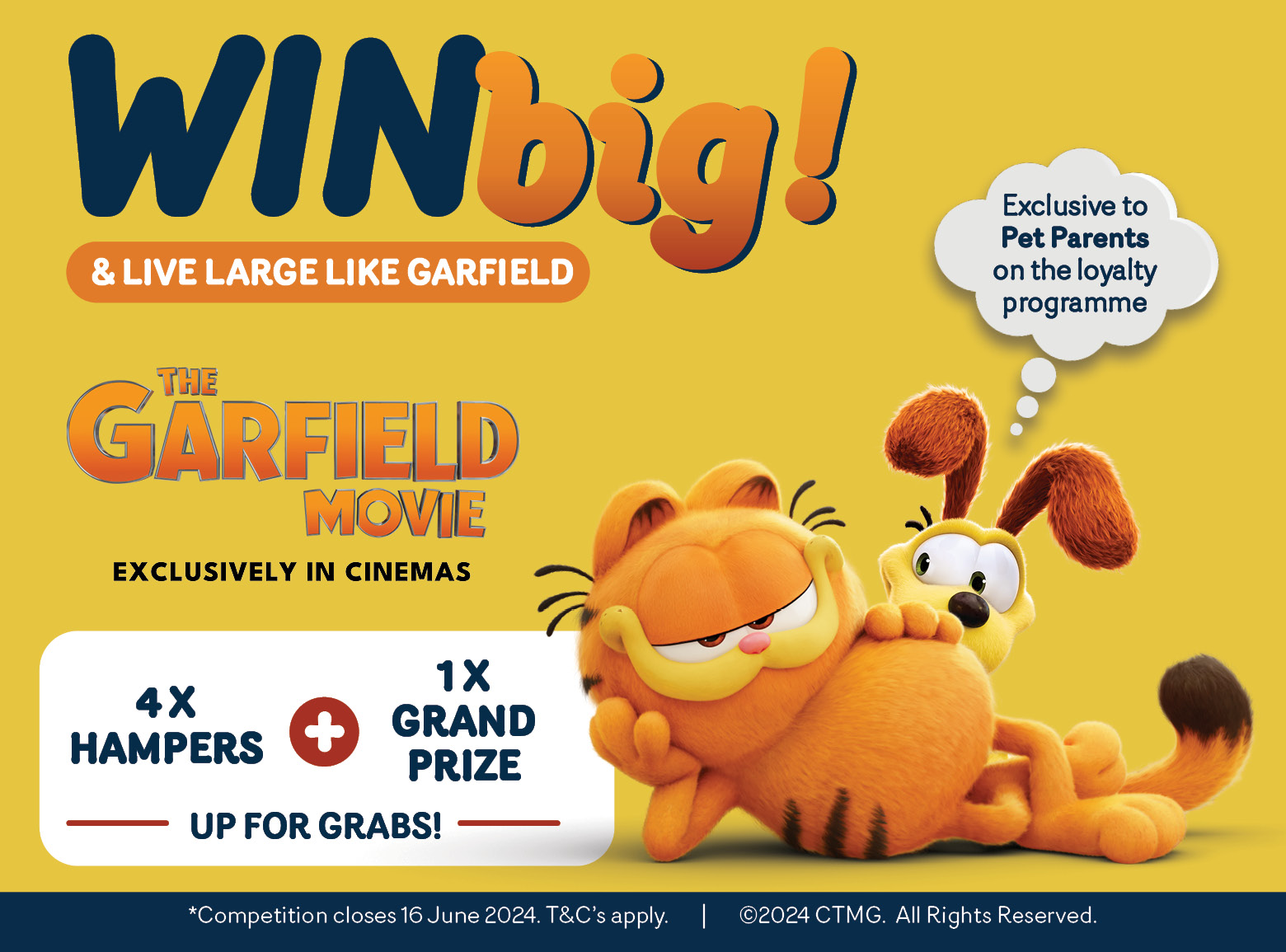 Garfield and Win Introduction