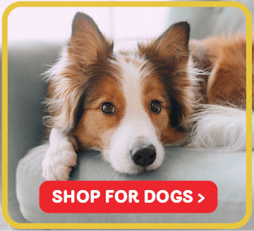 Shop Dog Products