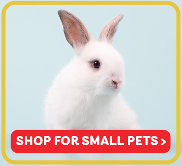 Spend and Win Shop Royal Canin Products