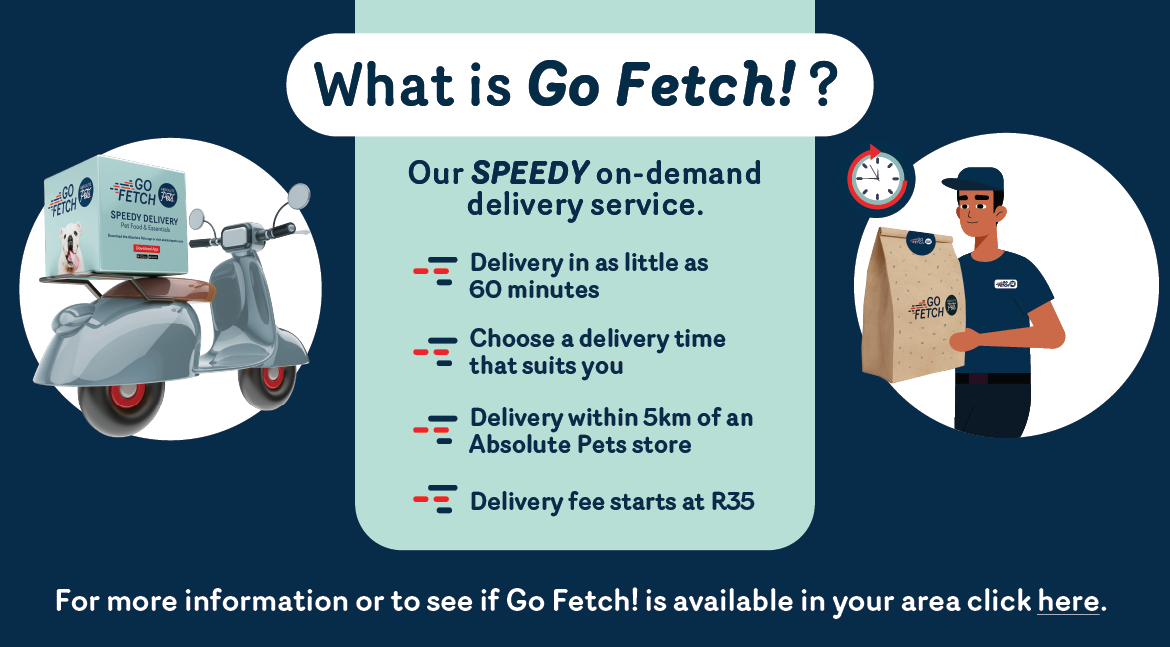 Order & Win - what is Go Fetch!