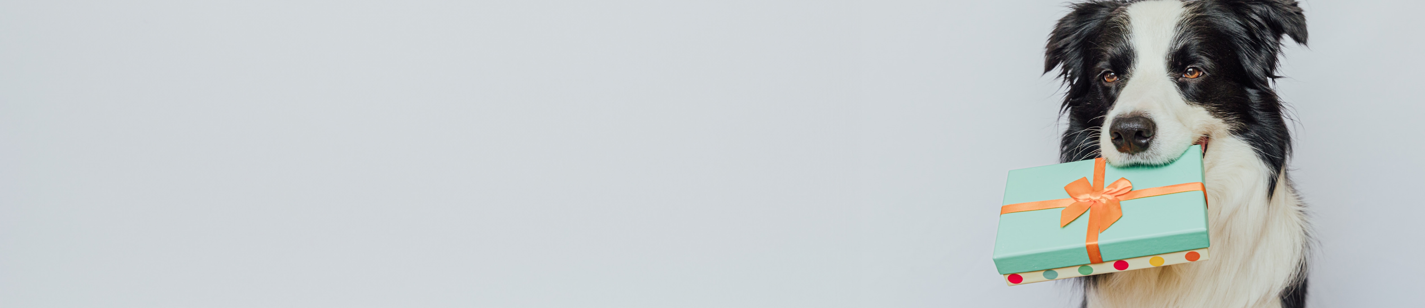 Buy gift cards online.