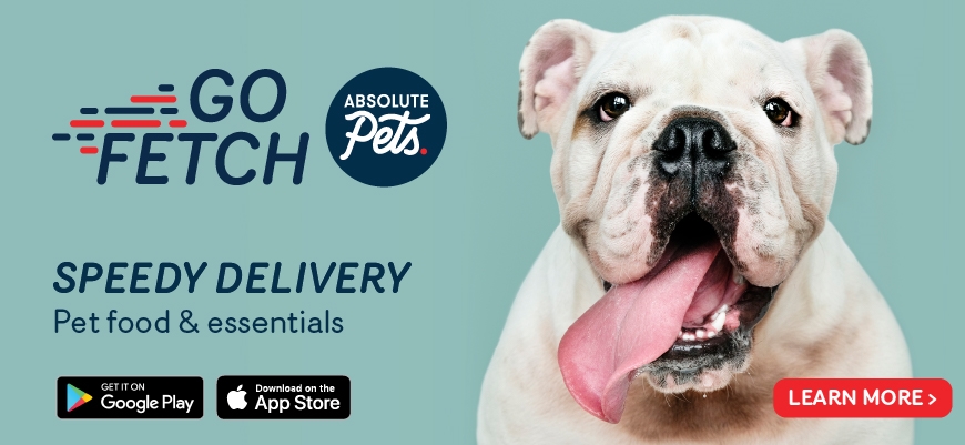 Buy Dog Food, Cat Food and Pet Products Online