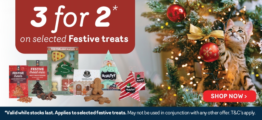 3 For 2 Festive Treats 2025