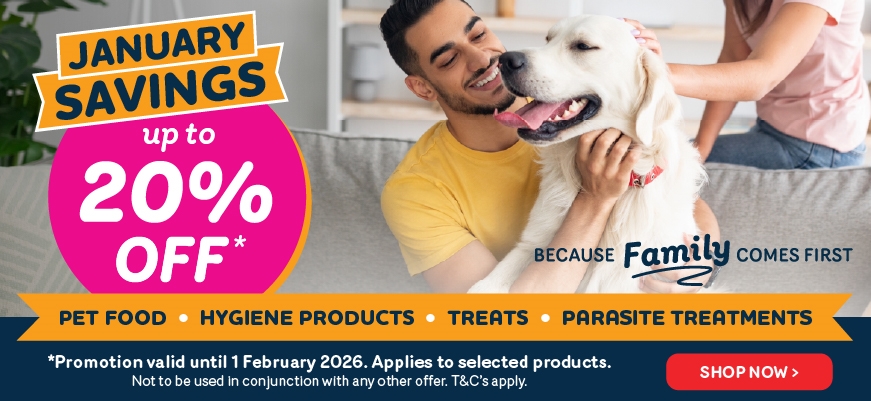 January Savings 2026