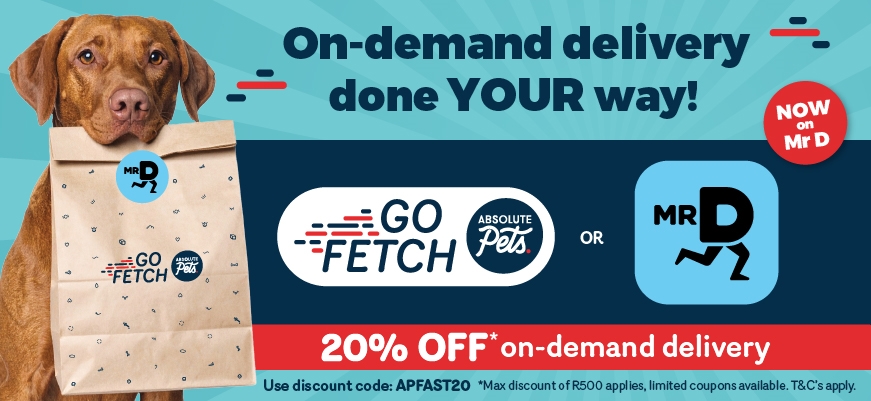 Mr D Launch Home Page Scrolling