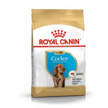 Royal Canin Cocker Spaniel Puppy Food