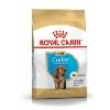 Royal Canin Cocker Spaniel Puppy Food