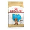 Royal Canin Dachshund Puppy Food