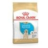 Royal Canin Golden Retriever Puppy Food