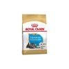Royal Canin Schnauzer Puppy Food