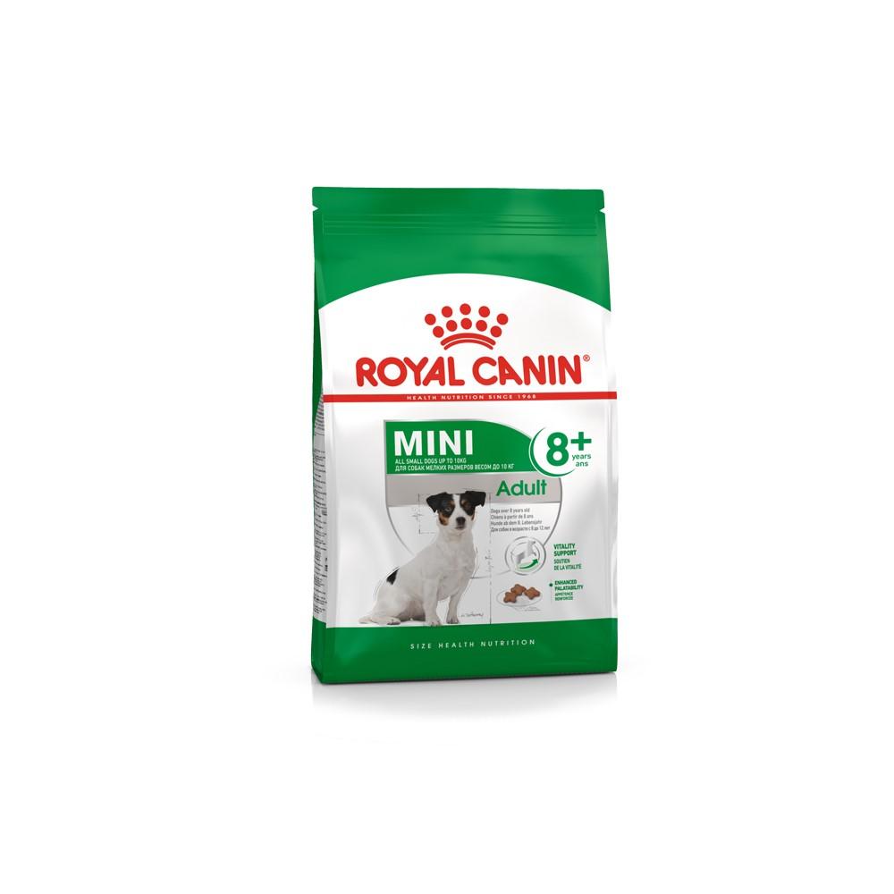 Royal Canin Mini Mature +8 Food Absolute Pets