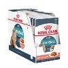 Royal Canin Feline Hairball Food Pouches in Gravy