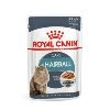 Royal Canin Feline Hairball Food Pouches in Gravy