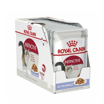 royal jelly for dogs