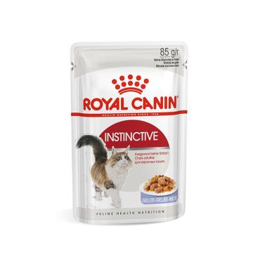 Royal Canin Feline Instinctive 12 in Jelly (Pouch)