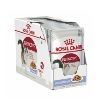 Royal Canin Feline Instinctive 12 in Jelly (Pouch)