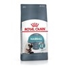 Royal Canin Feline Intense Hairball