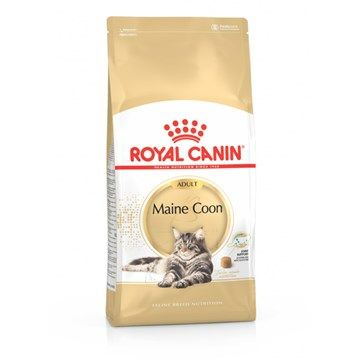Royal Canin Feline Maine Coon 31