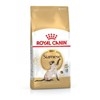 Royal Canin Feline Siamese 38