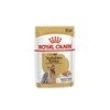 Royal Canin Yorkshire Terrier Adult Wet Food - Pouches
