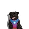 Zee.Dog Air Mesh Harness for Dogs (Prisma)