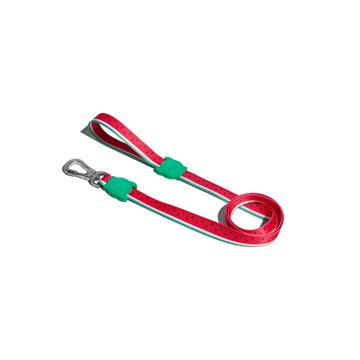 Zee.Dog Leash for Dogs (Lola)