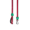 Zee.Dog Leash for Dogs (Lola)