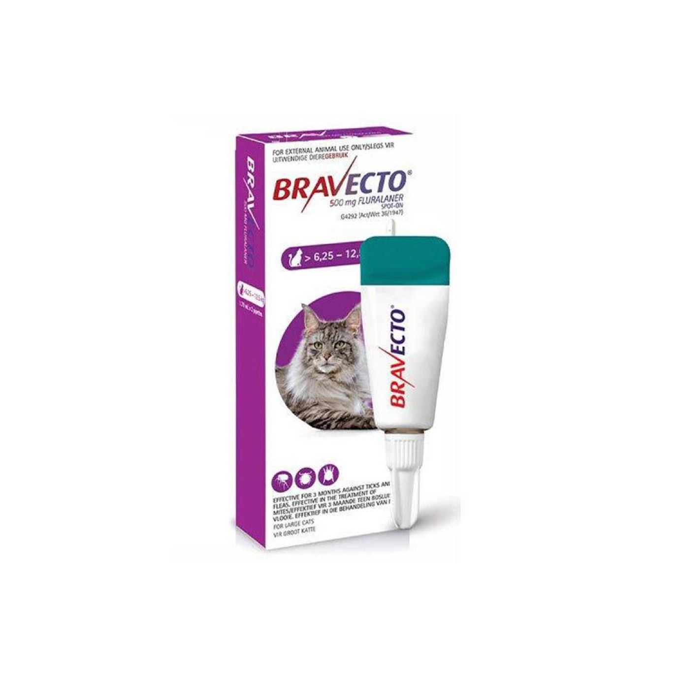 Bravecto Spot On for Cats 6.2512.5kg Absolute Pets