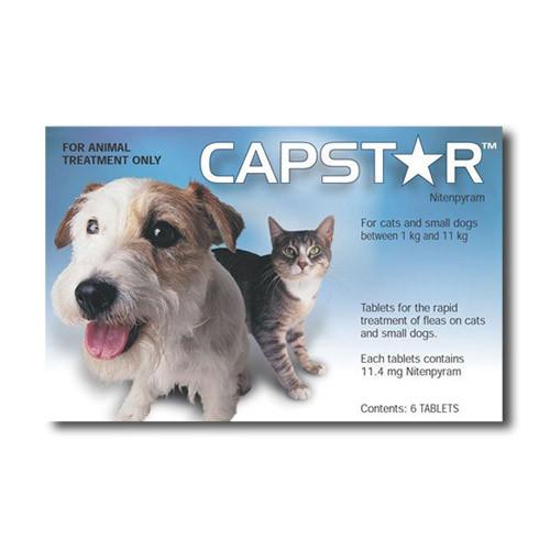 Capstar Dogs and Cats 111kg Absolute Pets