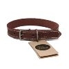 Olly & Max Leather Collars - Brown