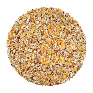 Westerman's Maize Mix Chic Chic No.1