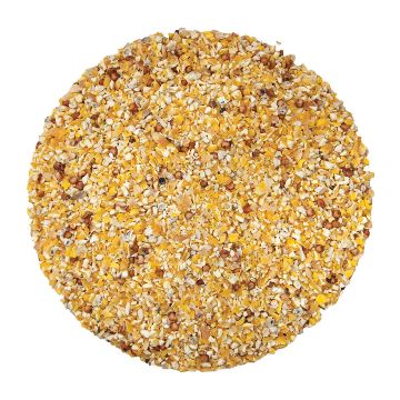 Westerman's Maize Mix Chic Chic No.2