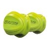 Skipdawg Agility Ball (2pk)