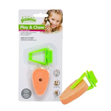 Pawise Play & Chew Carrot Toy