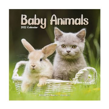 Calendar 2022 Baby Animals 