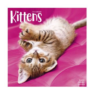 Calendar 2022 Kittens