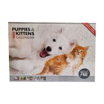 Calendar 2022 Puppy &amp; Kitten 
