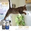 Kit Cat Purr Puree Plus+ Tuna &amp; Glucosamine (Joint Care) 