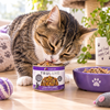 Weruva Truluxe Steak Frites For Cats