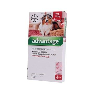 Advantage Dog (10-25kg) Large