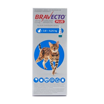Bravecto Plus Cat Spot-on 2.8 - 6.25kg