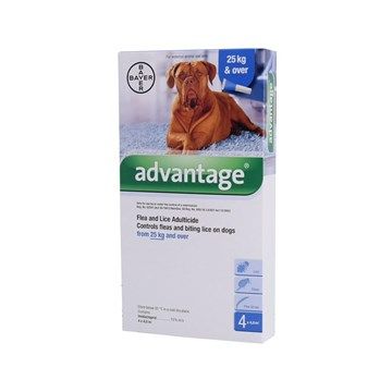 Advantage Dog (25kg+) X-Large