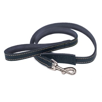 Olly and Max Leather Lead (Blue)
