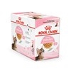 Royal Canin Feline - Kitten Sterilised - Chunks in Jelly Pouch 