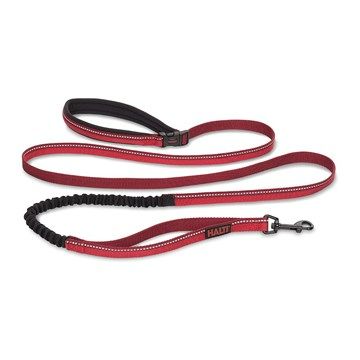 Halti Bungee Lead (Red) 