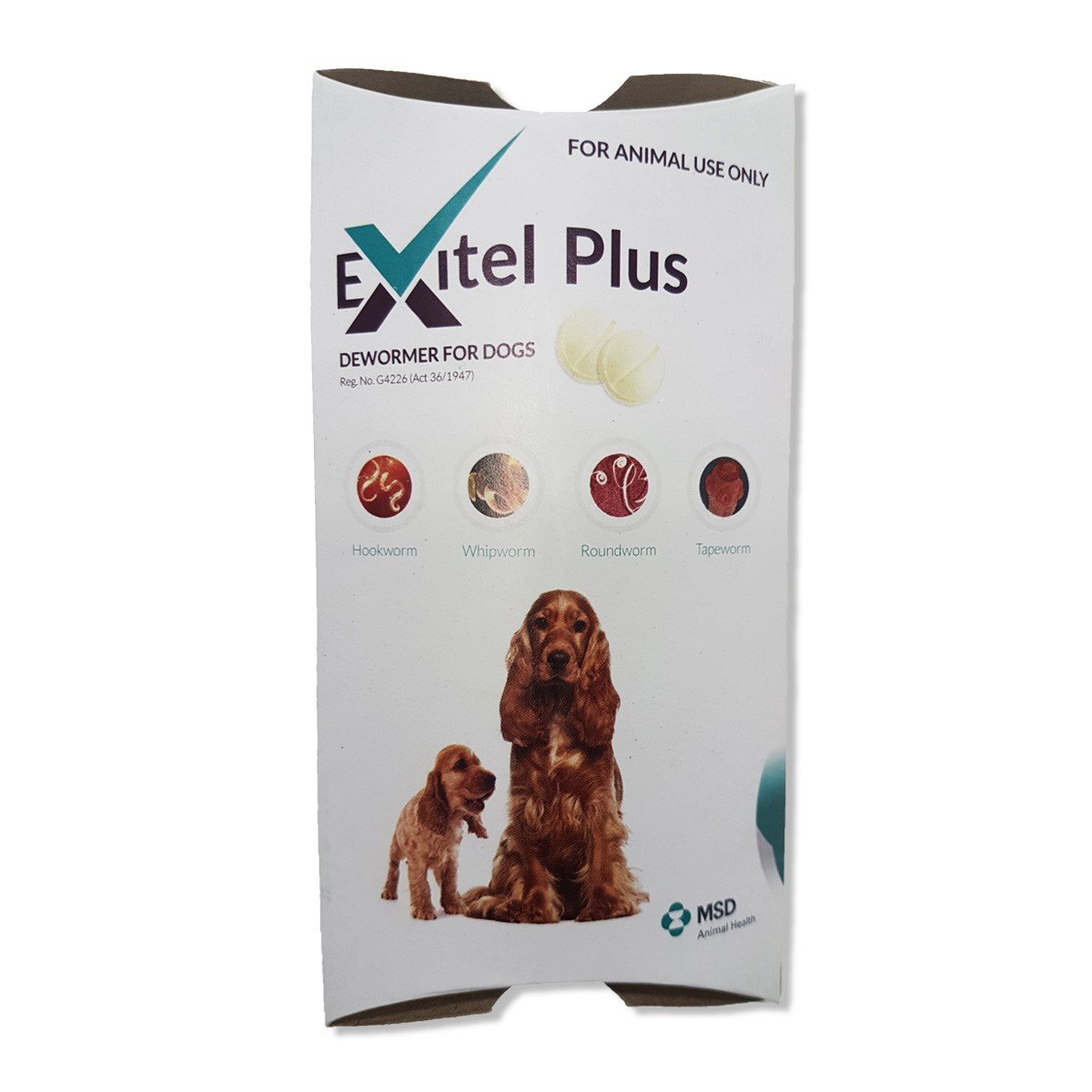 Exitel Plus Dewormer for Dogs Absolute Pets
