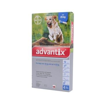 Advantix Dog Tick & Flea (25kg+) X-Large