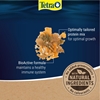 Tetra TetraMin Tropical Fish Flakes