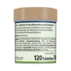 Tetra Plecomin Tablets 