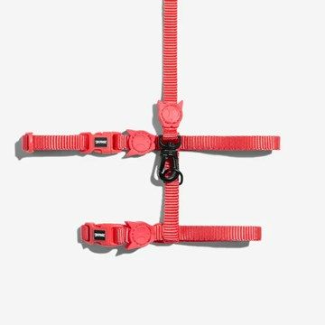 Zee.Cat Cat Harness with Leash (Coral) 